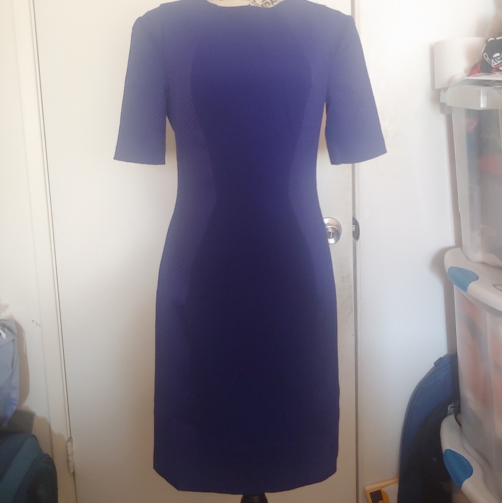 Ted Baker blue/purple dress